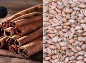 Canela e leguminosas ajudam a controlar glicemia e prevenir diabetes