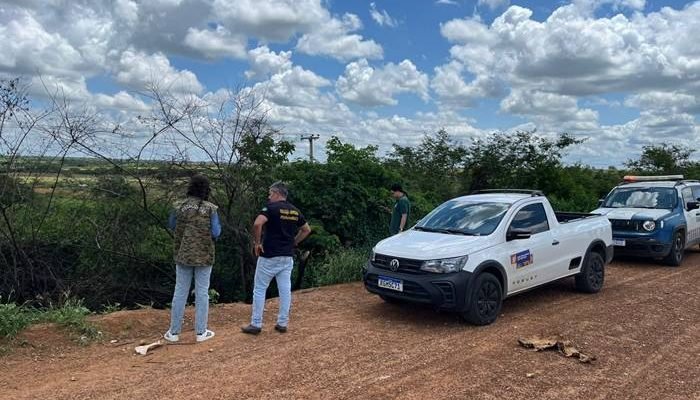 Denúncias podem ser feitas através da Ouvidoria no 156 e por meio WhatsApp do Petrolina + Limpa...