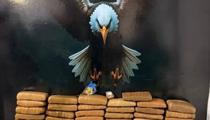 Roberto GonÃ§alves