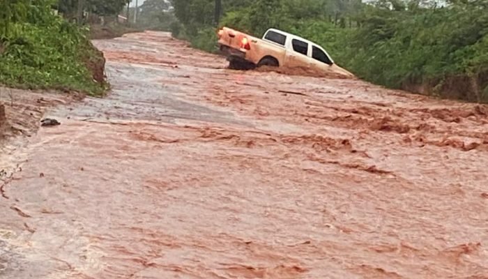 Roberto GonÃ§alves