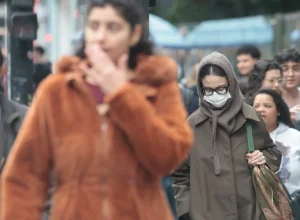 Estudo global identifica milhares de novos vírus em áreas urbanas