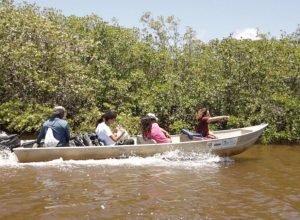 Estudo revela impactos do derramamento de petróleo de 2019 na pesca artesanal