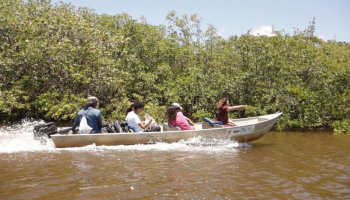 Estudo revela impactos do derramamento de petróleo de 2019 na pesca artesanal