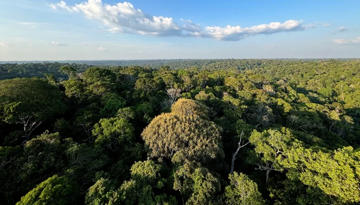 Expedição revela biodiversidade única no topo da Amazônia
