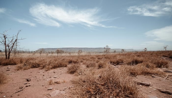 Forte seca (Foto: Fiona Smallwood/ Unsplash)