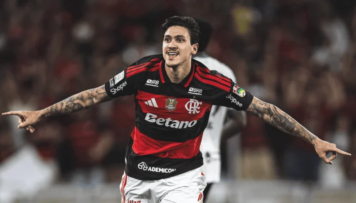 Flamengo busca profissionalizar gestão com nova reforma estatutária
