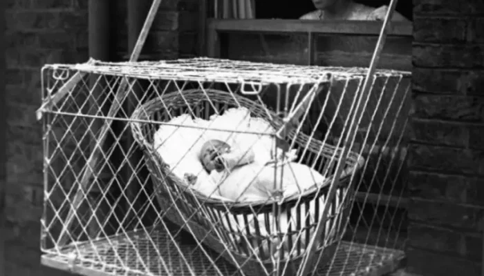 Gaiolas para bebês: a prática inusitada dos anos 1930