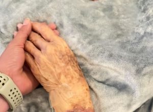 Governadora do DF suspende agendas para cuidar da mãe hospitalizada