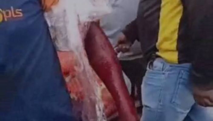 WhatsApp/divulgação Palco de frequentes ocorrências policiais, o Mercado do Produtor de Juazeiro (BA) registrou mais uma