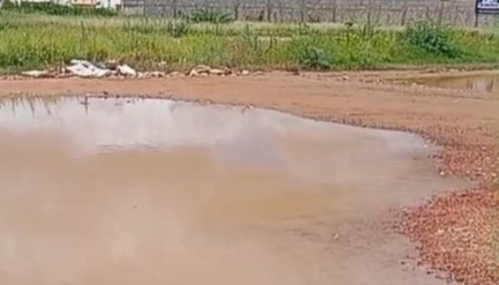 Comunidade em Petrolina enfrenta desafios estruturais e cobra soluções