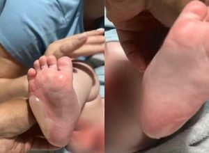 Dado Dolabella apoia deputado acusado de violência doméstica