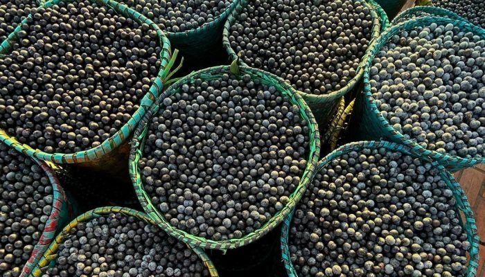 Frutas brasileiras se destacam entre as melhores do mundo