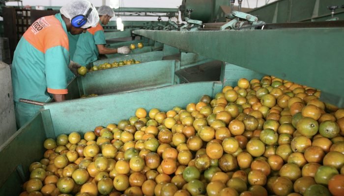 Lula reafirma candidatura à presidência em meio a especulações