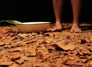 Exposição explora impacto das águas em territórios e culturas