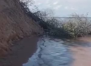 Moradores de Casa Nova denunciam danos ambientais nas Dunas do Velho Chico