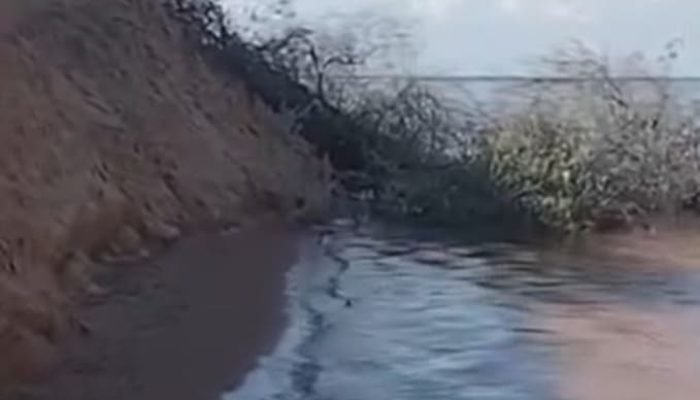 Moradores de Casa Nova denunciam danos ambientais nas Dunas do Velho Chico