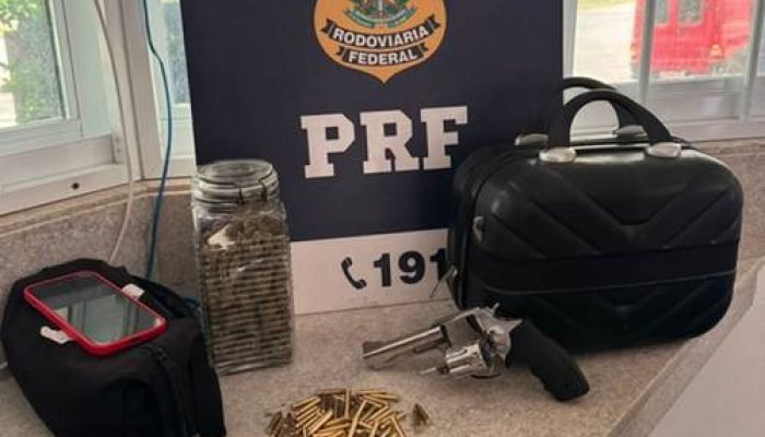 PRF apreende drogas e arma em operação na Bahia