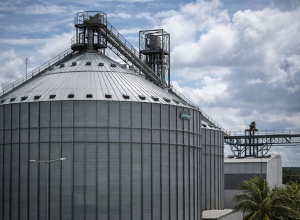 Imagem gerada com IA