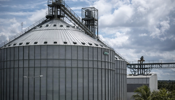 Imagem gerada com IA