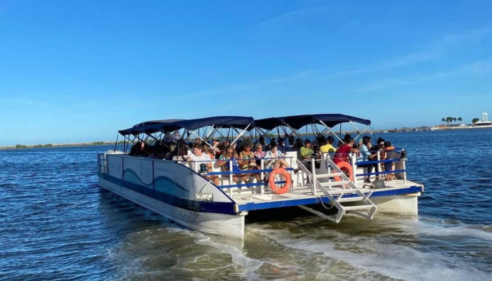 Recife oferece passeios gratuitos de catamarã, ônibus e bicicleta