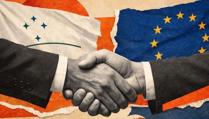 Acordo Mercosul-ue: trajetória e desafios até a implementação provisória