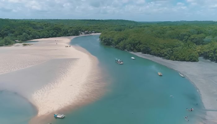 Tendências de viagem em 2026: personalização e bem-estar dominam