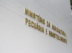 Brasil e União Europeia debatem restrições à exportação de carnes