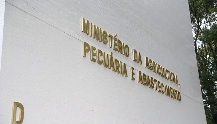 Brasil e União Europeia debatem restrições à exportação de carnes