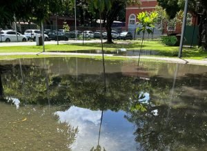 Inundações no Parque da Tamarineira preocupam moradores
