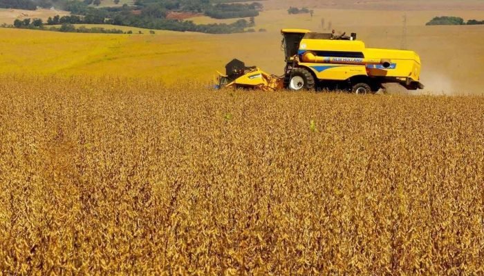 Crise de endividamento no agro brasileiro desafia setor