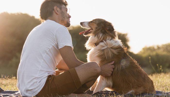 Como o cérebro humano e canino se conectam: a ciência por trás do vínculo