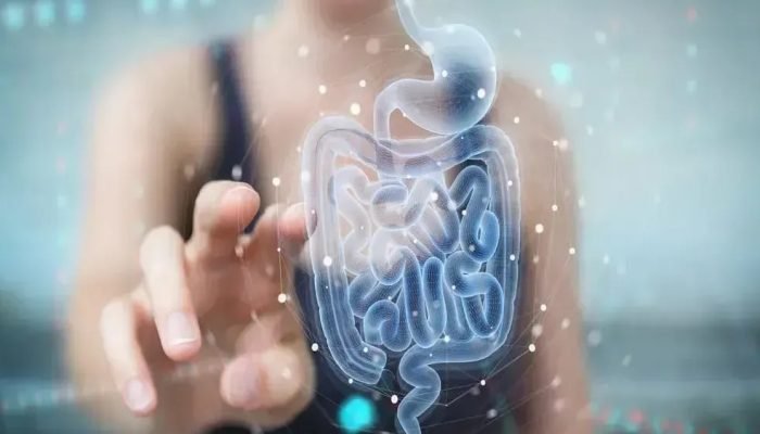 Teste imunoquímico fecal revoluciona diagnóstico de câncer colorretal