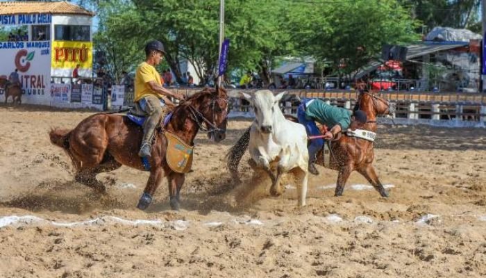 Vaquejada de Petrolina celebra cultura nordestina com prêmios milionários