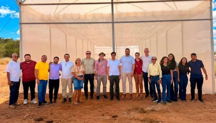 Iniciativa fortalece agricultura familiar no Sertão com novas tecnologias