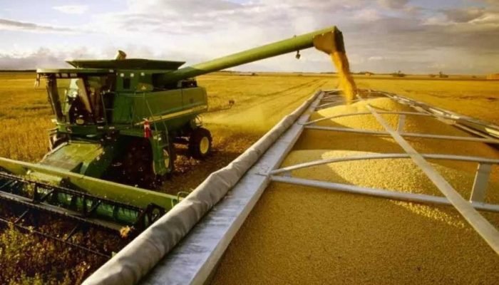 Agropecuária impulsiona crescimento do PIB em meio a endividamento familiar