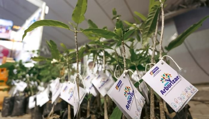 Petrolina celebra Dia do Meio Ambiente com ações de sustentabilidade