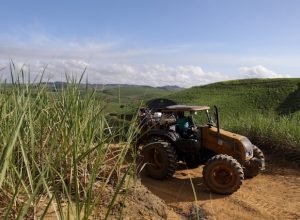 Pernambuco investe em fertilizantes para impulsionar agricultura familiar