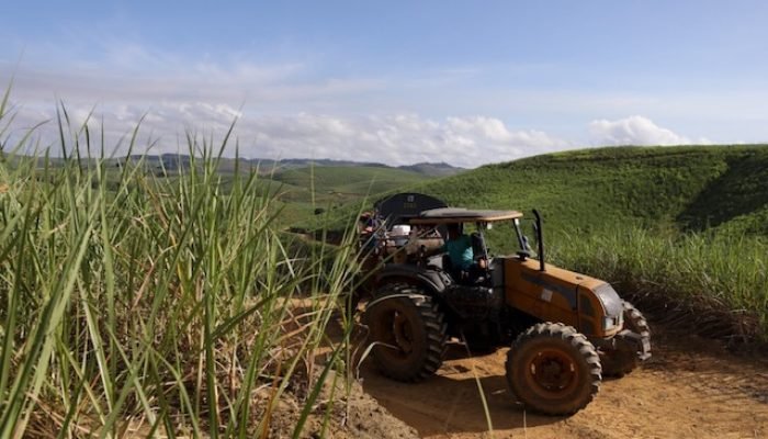 Pernambuco investe em fertilizantes para impulsionar agricultura familiar