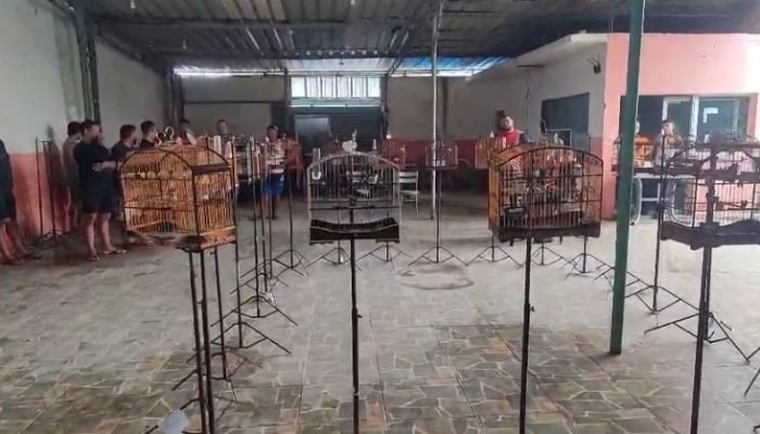Operação policial encerra torneio ilegal de canto de aves em Jaboatão