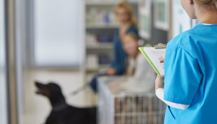 Mulher busca indenização após erro em aplicação de injeção veterinária