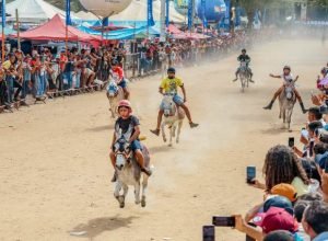 Jecana do Capim atrai multidão em Petrolina com cultura e diversão
