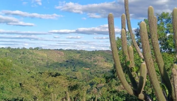 Pernambuco avança na criação de novas áreas de conservação na Caatinga