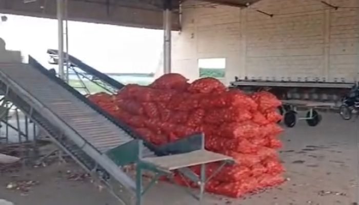 Falta de energia na Ceasa de Belém do São Francisco afeta comércio de cebola