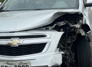 Acidente na Br-316 destaca perigo de animais soltos em rodovias