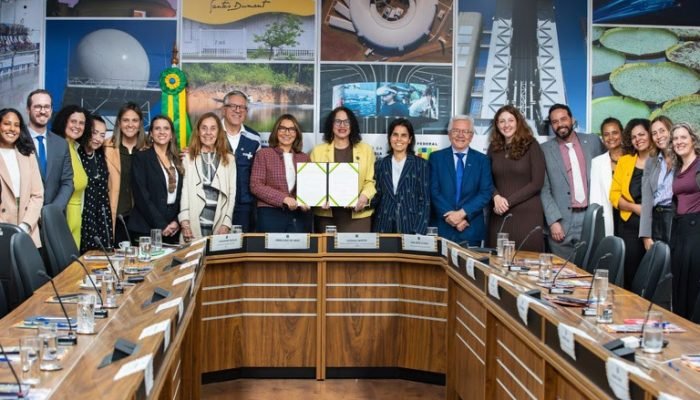 Brasil investe R$ 60 milhões em pesquisas sobre saúde menstrual e endometriose