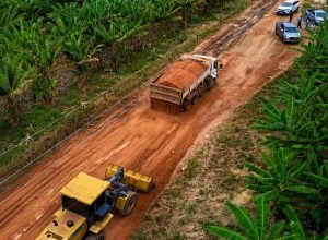 Santa Maria da Boa Vista avança na recuperação de estradas vicinais