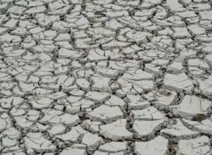 El Niño pode intensificar seca em Pernambuco, alertam especialistas