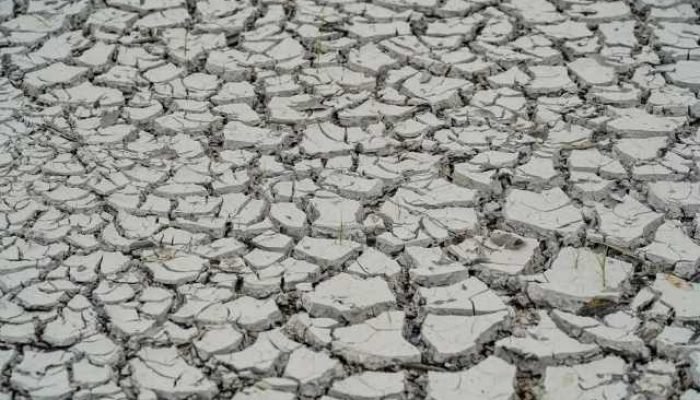 El Niño pode intensificar seca em Pernambuco, alertam especialistas