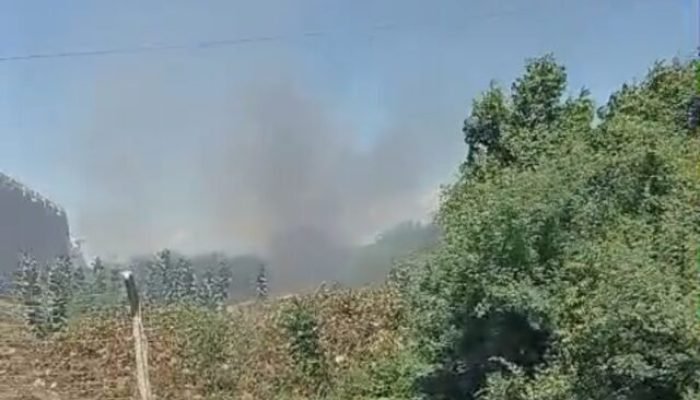 Incêndio em Cabrobó gera preocupação entre moradores