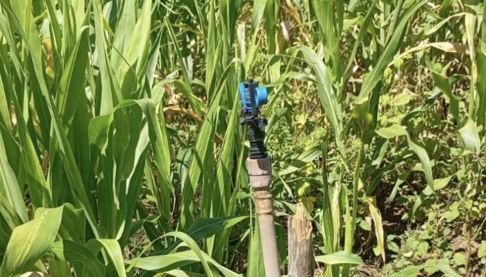Comunidade rural em Cabrobó enfrenta crise de abastecimento de água